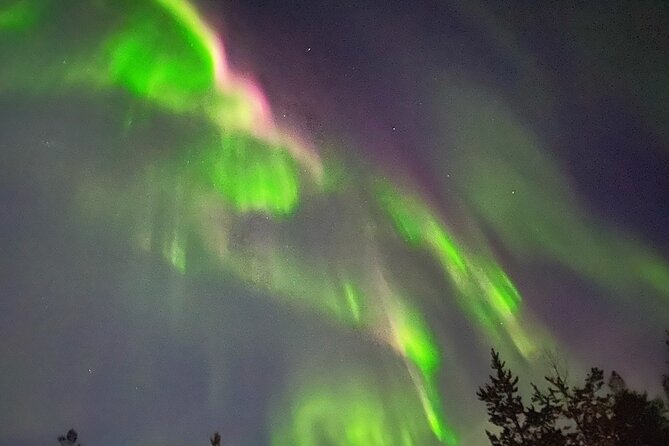Husky Sled Ride Northern Lights Tour from Kiruna - Husky Sled Ride Northern Lights Tour from Kiruna: An Authentic Arctic Adventure