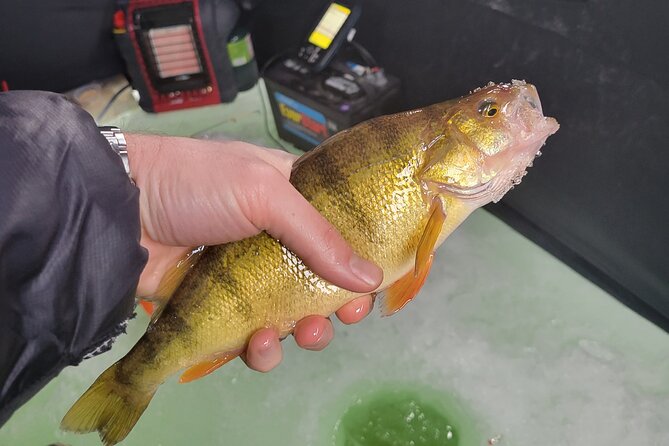 Ice Fishing in Park City - An In-Depth Look at the Ice Fishing Experience in Park City
