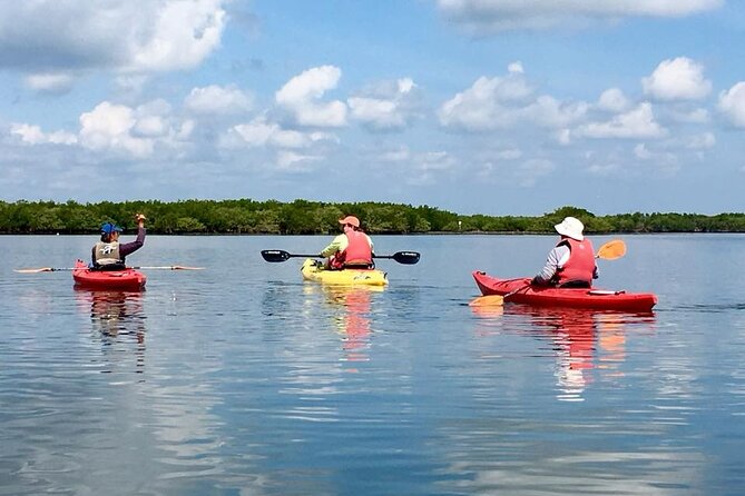 Indian River Lagoon Preserve Kayak Tour - Good To Know
