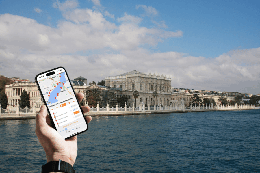 Istanbul: Daytime or Sunset Sightseeing Cruise & Audio Guide - A Deep Dive into the Bosphorus Cruise