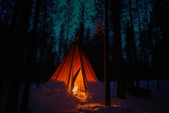 Ivalo: Wilderness Adventure by Snowmobile Sleigh - Good To Know