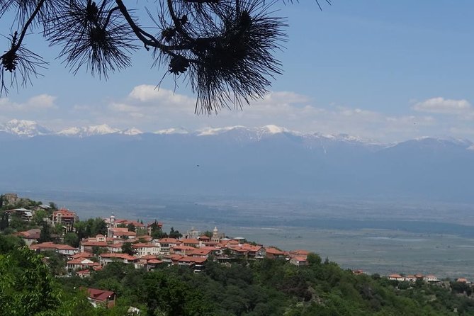 Kakheti wine Tour: Telavi-Kvareli-Signagi and Wine cellars - Good To Know  