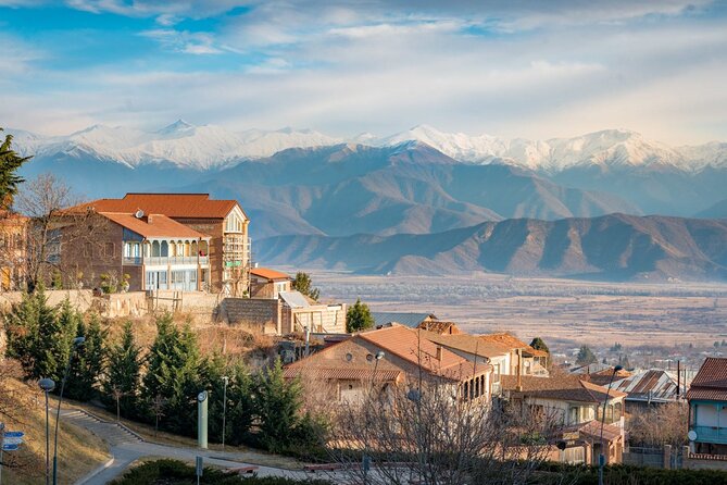 Kakheti's Cultural Tapestry with Wine, History & Charm Tour - Who will love this tour?  