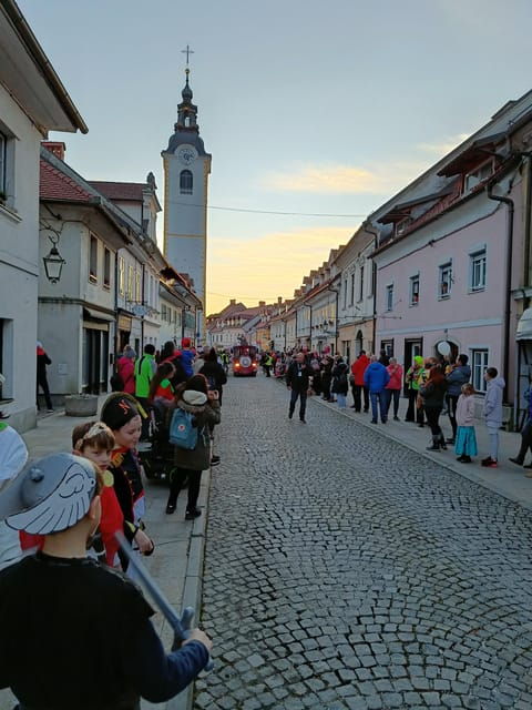 Kamnik: Guided City Tour with drink