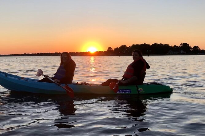 Kayak Dolphin Experience in Virginia Beach Must know how to swim - Introduction