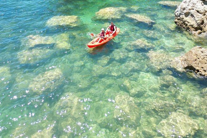 Kayak Experience with a Local - Good To Know