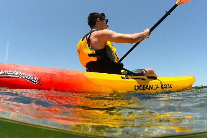 Kayak Tour and Rental - Exploring Miami’s Waterways with the Kayak Tour and Rental