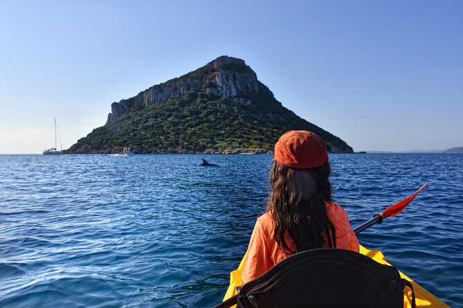 Kayak tour with aperitif and dolphins - Good To Know