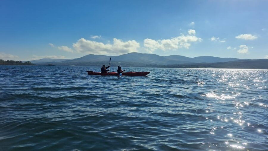 Kenmare Bay: Guided Kayaking Tour - No Wetsuits Required. - Frequently Asked Questions
