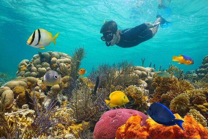 Key West: 3hr Snorkeling Experience with Unlimited Drinks - Practical Details & Considerations