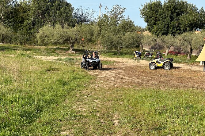 Kids Buggy Experience in Salou - Kids Buggy Experience in Salou: A Practical Review