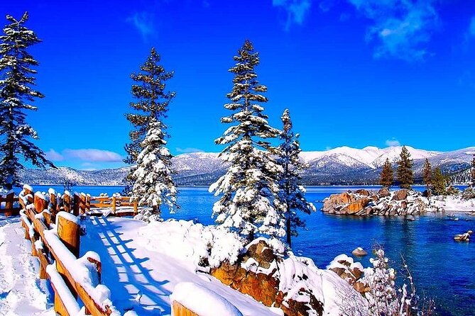 Lake Tahoe Full day Private Tour from Cupertino - The Value of the Tour: Assessing the Cost, Comfort, and Customization