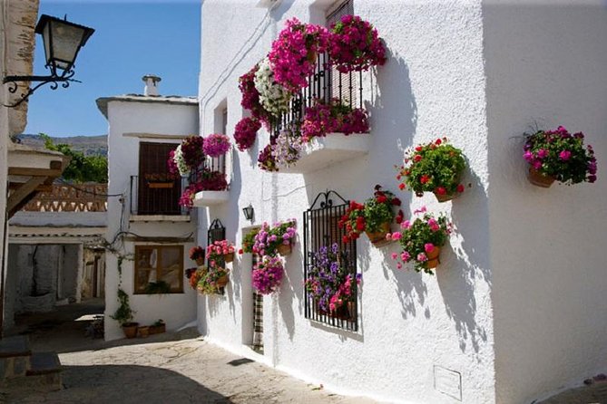 Las Alpujarras Full-Day Tour with Optional Lunch from Granada - Good To Know