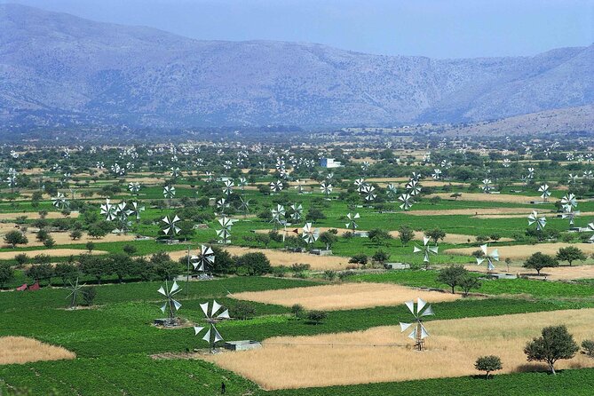 Lasithi - Zeus Cave -Olive Oil Factory - Traditional Villages - An In-Depth Look at the Itinerary
