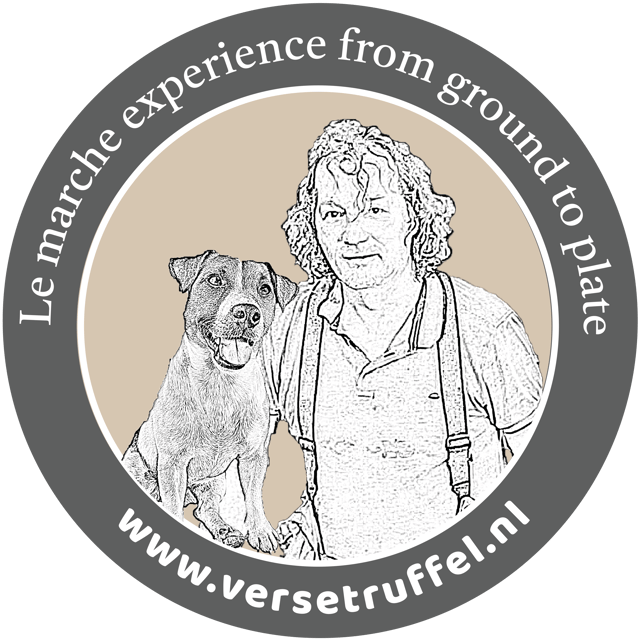 Le Marche: Truffle Hunt with Lunch or Dinner