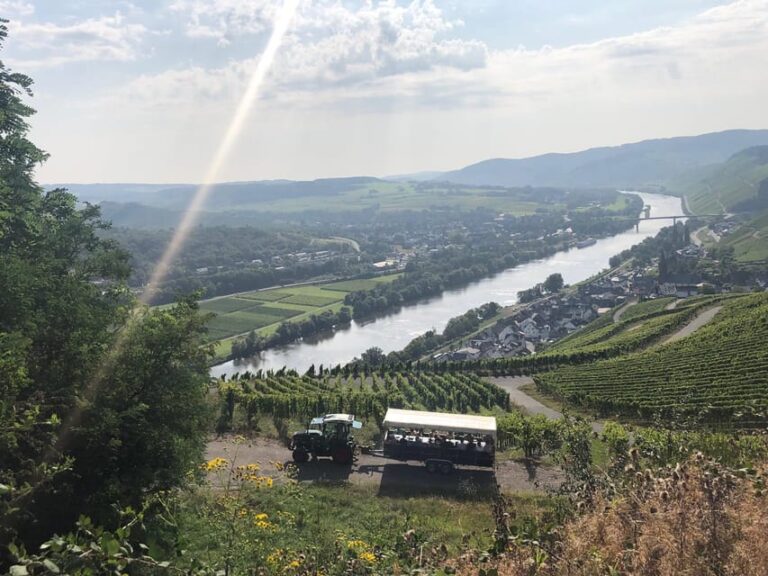 Lieser: covered wagon ride, the rolling wine tasting with picnic basket