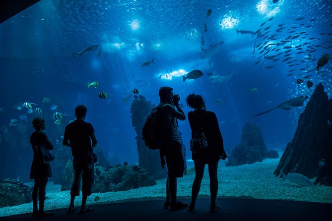 Lisbon Hop-On Hop-Off Bus and Boat Tour with Oceanário Ticket - The Bus System and Routes