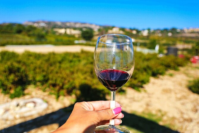 Local Wineries Tour with Wine Testing from Paphos - A Review of the Local Wineries Tour with Wine Testing from Paphos