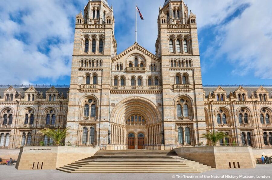 London: Natural History Museum Guided Tour & Afternoon Tea - The Natural History Museum: A Closer Look