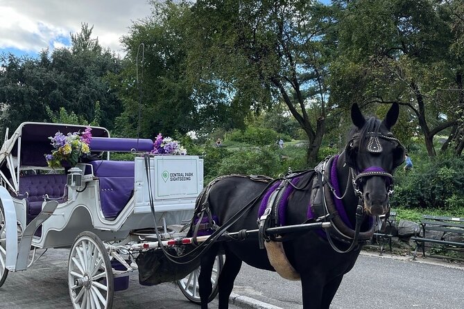 Luxury Horse and Carriage Tours in Central Park - Good To Know