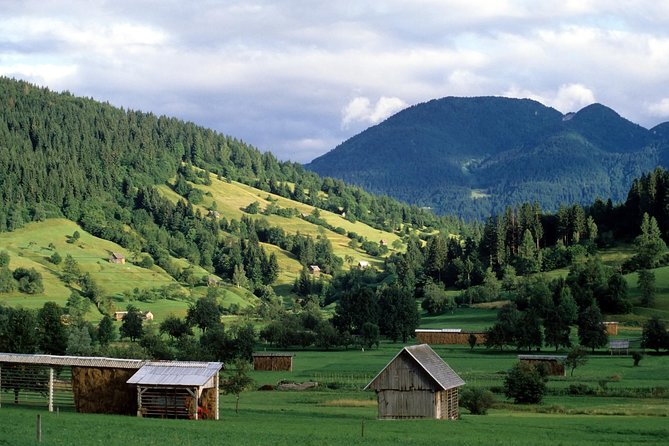 Magic of Alps, Triglav NP with Lake Bohinj & Waterfall Savica, HD Trip from Ljub - Good To Know  