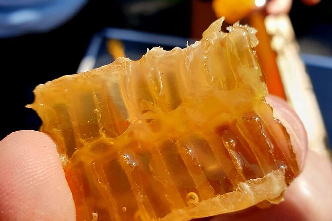 Magical World of Beekeeping on São Miguel Azores Private Tour - Good To Know