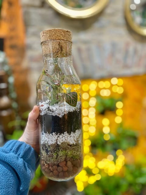 Make Your Own Terrarium in a houseplant paradise - Personalization and Creativity at Its Best