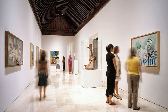 Malaga: Picasso Museum Tour Art Expert Guide entry included - Malaga: Picasso Museum Tour Art Expert Guide entry included