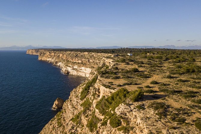 Mallorca Southern cliffs and the Salt Marshes guided Tour - Good To Know