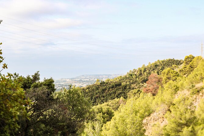 Marbella Guided Hiking and Foraging Adventure - Good To Know
