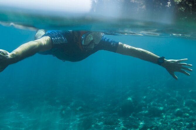 Marine Biology & Snorkelling Experience in the Cinque Terre - Good To Know