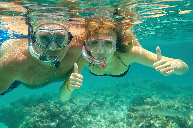 Maui Beach Shoreline Snorkel - Good To Know