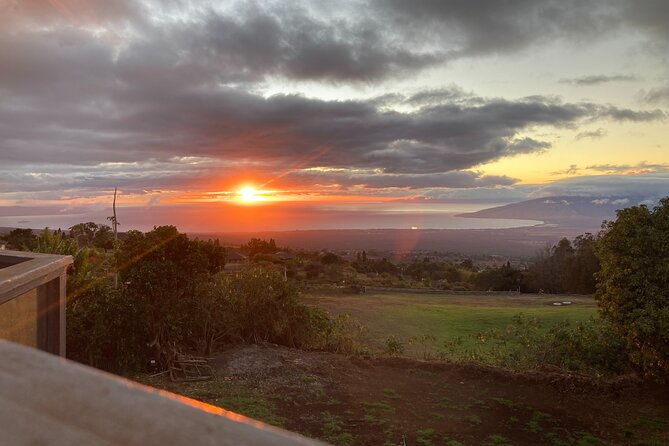 Maui Paint and Sip at Maui Bird House - Maui Paint and Sip at Maui Bird House: A Creative Escape with a View