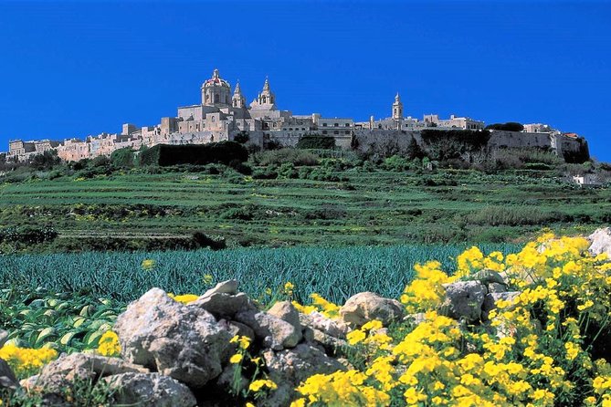 Mdina, Rabat, Dingli cliffs, San Anton gardens, Ta' Qali & Mosta guided tour - Good To Know
