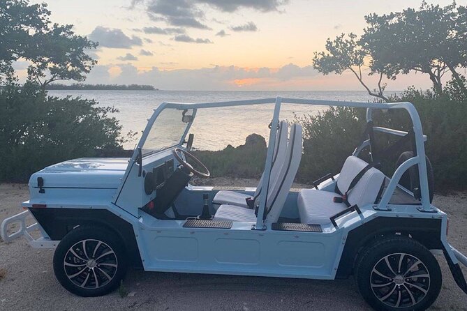 Mini Moke Rental on Marco Island - Good To Know  