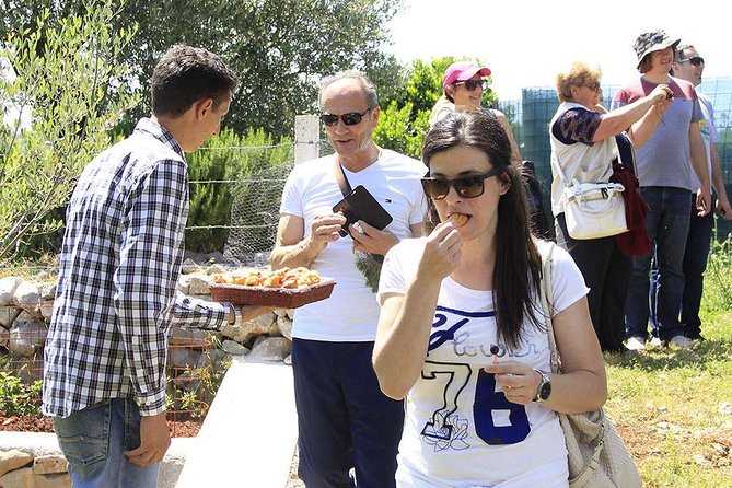 Montenegro private tour - customized for cruise passengers - A Detailed Look at the Montenegro Olive Oil Tour