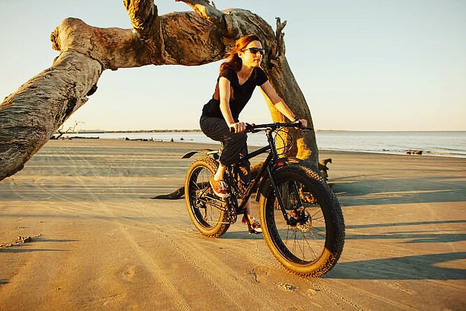 Mountain bike rental in Camargue - Mountain Bike Rental in Camargue – An Authentic Exploration of Nature and Wildlife