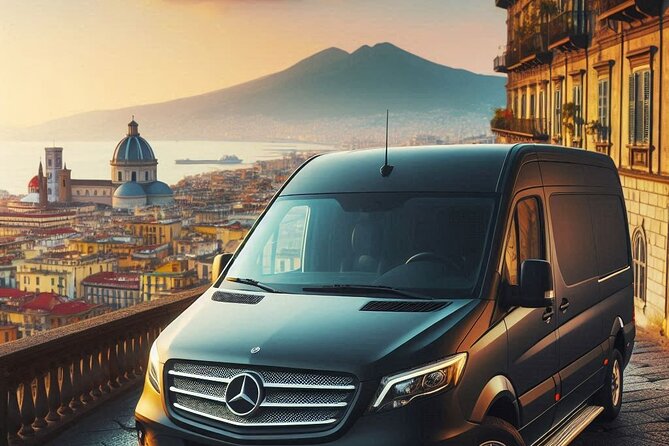 Mt. Vesuvius, Pompeii & Sorrento day-trip in 8 hours (privately) - What to Expect from a Private Tour in Naples