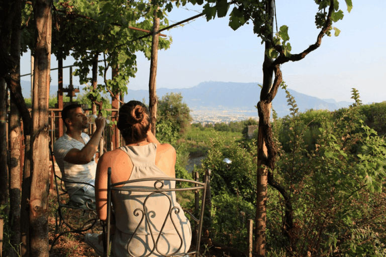 Naples: Pompeii and Herculaneum Tour with Tickets and Lunch
