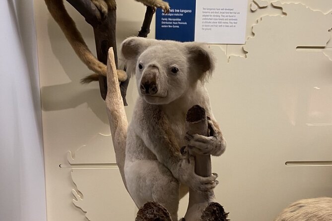 Natural History Museum Self-guided Tour for Kids in English - A Closer Look at the Natural History Museum Self-guided Tour for Kids in English