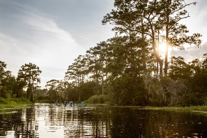 New Orleans Bayou Adventure: Kayak Rental - Exploring the Louisiana Bayous: A Review of the New Orleans Bayou Adventure Kayak Rental