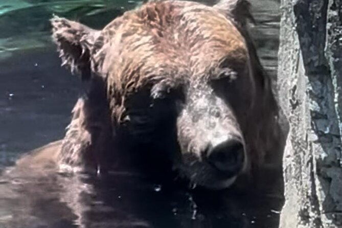 New York Central Park Zoo Ticket - FAQ