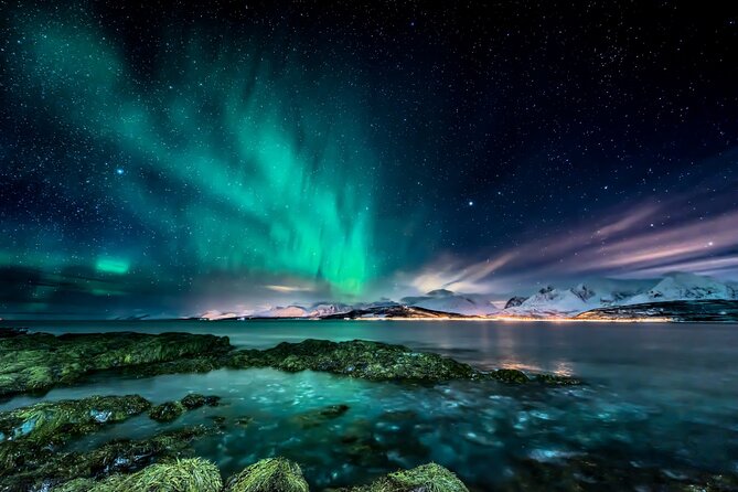 Northern light hunt in Tromsø. WiFi included - Good To Know
