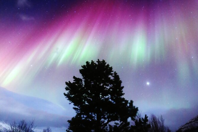 Northern Lights Big Bus Chase with Free Photos - Good To Know