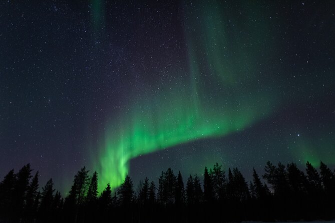 Northern Lights Hunting with a photographer (Only small groups) - Review of the Northern Lights Hunting with a Photographer Tour in Rovaniemi
