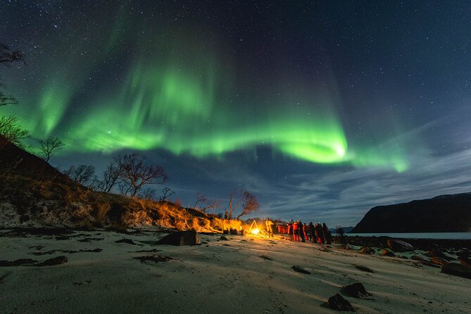 Northern Lights in Focus Tour by Minibus, German/ English, Meal - Good To Know