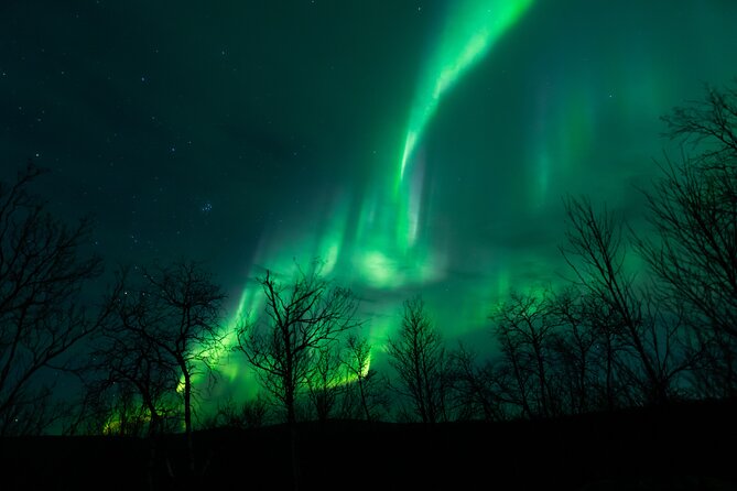 Northern Lights Tour from Kiruna to Abisko with Dinner - Good To Know