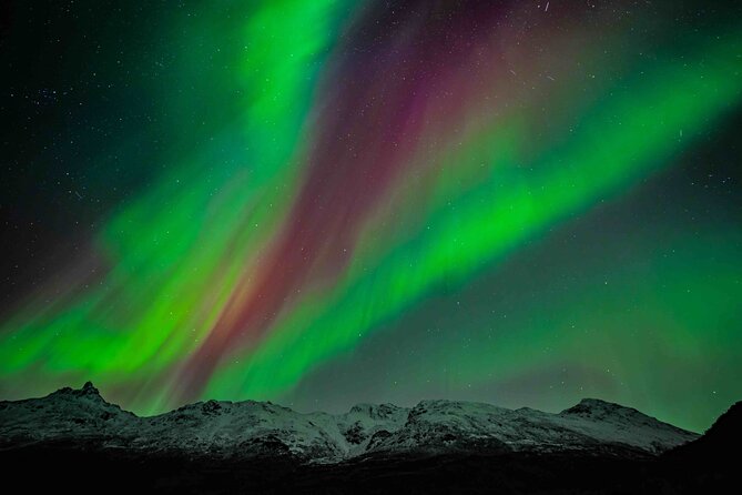 Northern Lights Tour with small group of 8 people - Good To Know