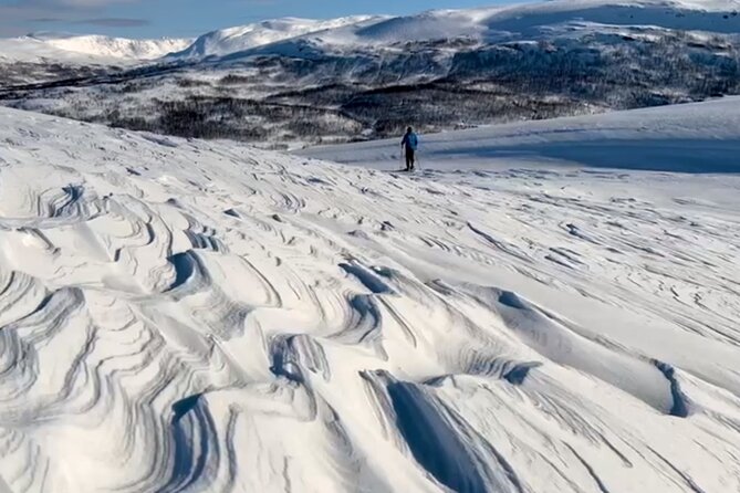 Norway Troms Snowshoe Activity with Guided Tour - Exploring Tromsø’s Winter Wonderland: The Norway Troms Snowshoe Activity with Guided Tour