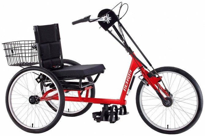 NYC Adult Tricycle Rental